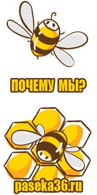 Перга пчелиная полезные